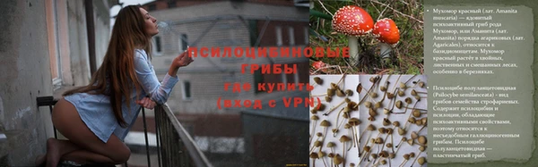 ГАЛЛЮЦИНОГЕННЫЕ ГРИБЫ Магадан