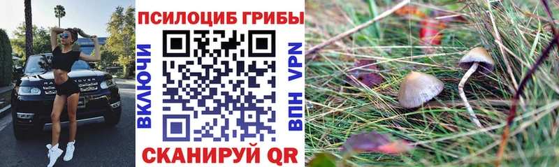 Псилоцибиновые грибы мухоморы  Кочубеевское 