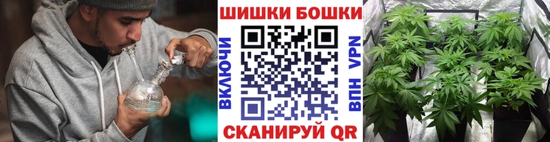 Шишки марихуана Ganja  Кочубеевское 
